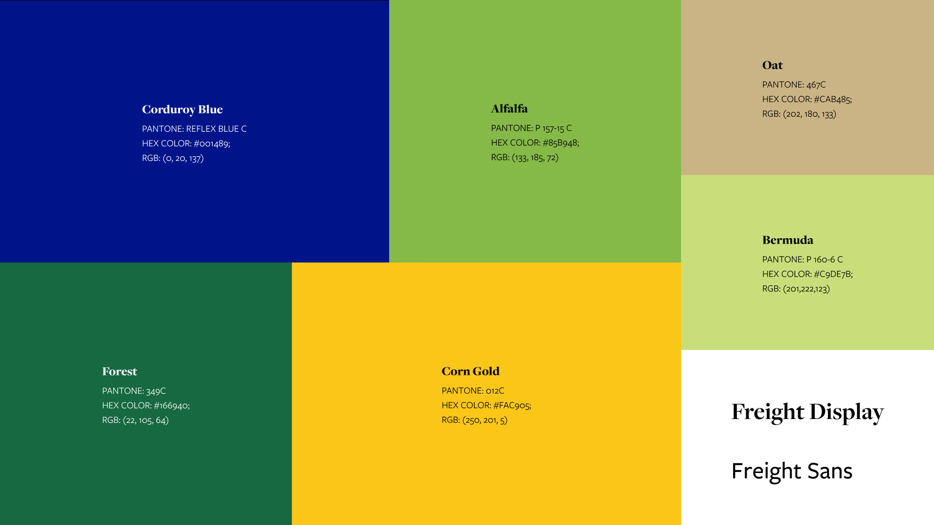 FFA color system: updated palette for the redesigned identity